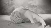 Dora Maar Sans titre (main et coquillage), circa 1934 Gelatina al bromuro d'argento, stampa moderna, cm 23,4x17,5 Parigi, Centre Pompidou, Musée national d'art moderne/Centre de création industrielle © Dora Maar by SIAE 2014 Dora Maar Sans titre (main et coquillage), circa 1934 Gelatina al bromuro d'argento, stampa moderna, cm 23,4x17,5 Parigi, Centre Pompidou, Musée national d'art moderne/Centre de création industrielle © Dora Maar by SIAE 2014