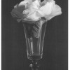 Franco Vimercati, Senza titolo / Untitled (Fiore nel bicchiere / Flower in the glass) 2000
