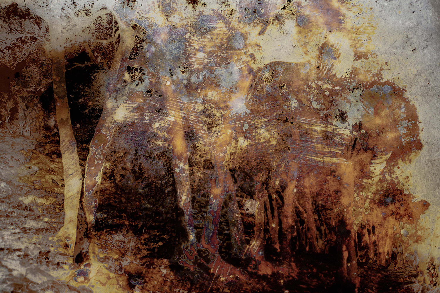 Joan Fontcuberta. Cultura di polvere - Trauma #3191, light box 100x150 cm